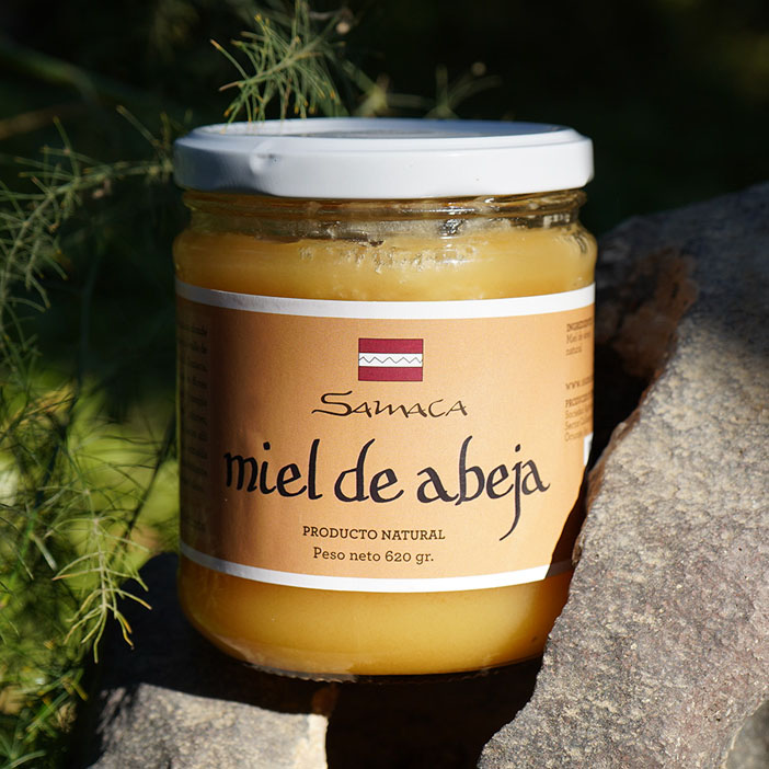 Miel de abeja 620g - Imagen 2